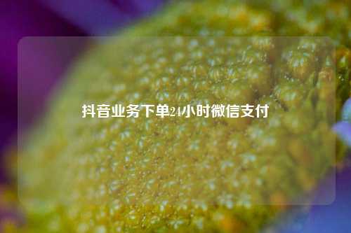 抖音业务下单24小时微信支付  第1张