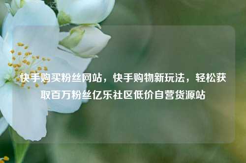 快手购买粉丝网站，快手购物新玩法，轻松获取百万粉丝亿乐社区低价自营货源站  第1张
