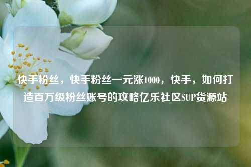 快手粉丝，快手粉丝一元涨1000，快手	，如何打造百万级粉丝账号的攻略亿乐社区SUP货源站  第1张