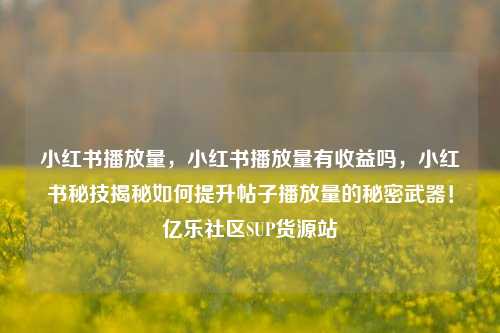 小红书播放量，小红书播放量有收益吗	，小红书秘技揭秘如何提升帖子播放量的秘密武器！亿乐社区SUP货源站  第1张
