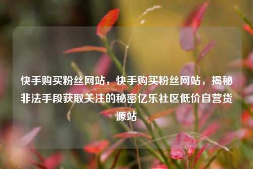 快手购买粉丝网站，快手购买粉丝网站，揭秘非法手段获取关注的秘密亿乐社区低价自营货源站  第1张