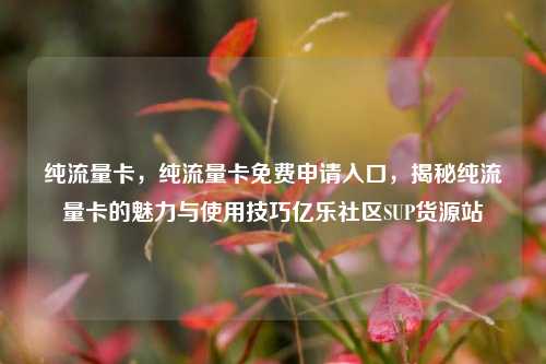 纯流量卡，纯流量卡免费申请入口，揭秘纯流量卡的魅力与使用技巧亿乐社区SUP货源站  第1张