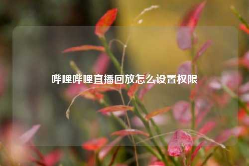 哔哩哔哩直播回放怎么设置权限  第1张