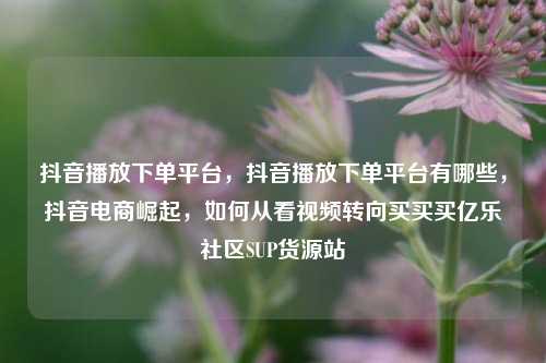 抖音播放下单平台，抖音播放下单平台有哪些，抖音电商崛起	，如何从看视频转向买买买亿乐社区SUP货源站  第1张