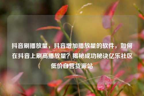 抖音刷播放量	，抖音增加播放量的软件，如何在抖音上刷高播放量？揭秘成功秘诀亿乐社区低价自营货源站  第1张