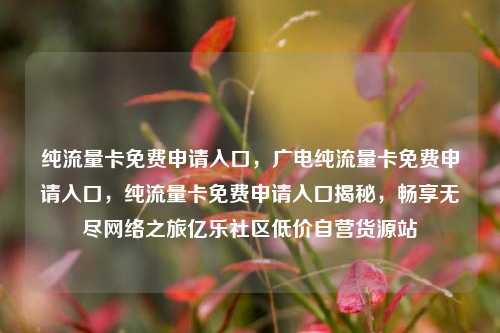 纯流量卡免费申请入口，广电纯流量卡免费申请入口	，纯流量卡免费申请入口揭秘，畅享无尽网络之旅亿乐社区低价自营货源站  第1张