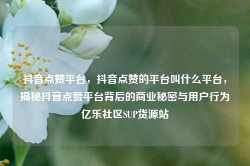 抖音点赞平台，抖音点赞的平台叫什么平台，揭秘抖音点赞平台背后的商业秘密与用户行为亿乐社区SUP货源站  第1张