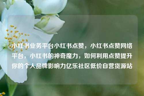 小红书业务平台小红书点赞，小红书点赞网络平台，小红书的神奇魔力	，如何利用点赞提升你的个人品牌影响力亿乐社区低价自营货源站  第1张