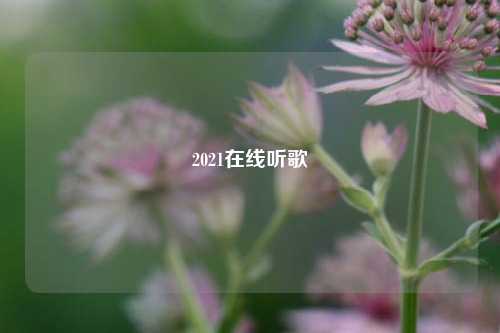 2021在线听歌  第1张