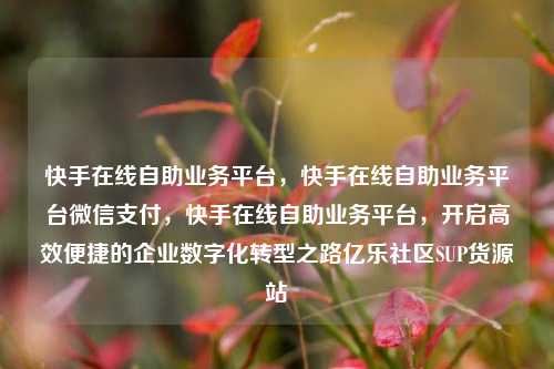 快手在线自助业务平台，快手在线自助业务平台微信支付，快手在线自助业务平台，开启高效便捷的企业数字化转型之路亿乐社区SUP货源站  第1张