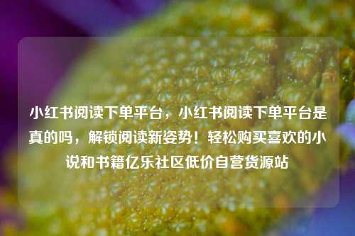 小红书阅读下单平台，小红书阅读下单平台是真的吗	，解锁阅读新姿势！轻松购买喜欢的小说和书籍亿乐社区低价自营货源站  第1张