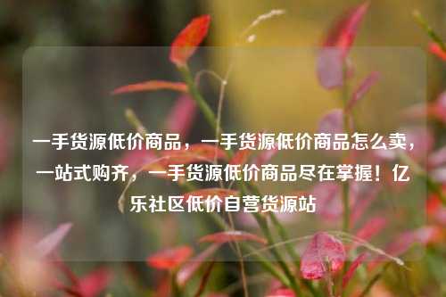 一手货源低价商品，一手货源低价商品怎么卖，一站式购齐	，一手货源低价商品尽在掌握！亿乐社区低价自营货源站  第1张