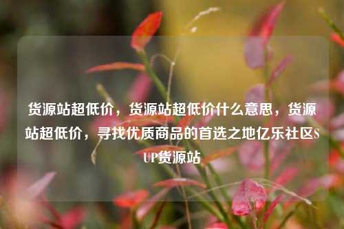 货源站超低价，货源站超低价什么意思，货源站超低价	，寻找优质商品的首选之地亿乐社区SUP货源站  第1张