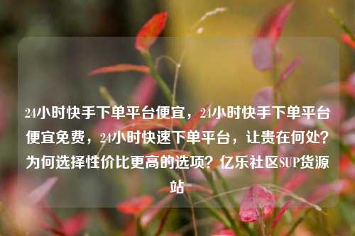 24小时快手下单平台便宜	，24小时快手下单平台便宜免费，24小时快速下单平台，让贵在何处？为何选择性价比更高的选项？亿乐社区SUP货源站  第1张