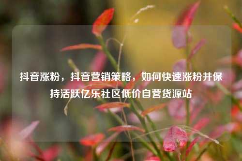 抖音涨粉	，抖音营销策略，如何快速涨粉并保持活跃亿乐社区低价自营货源站  第1张