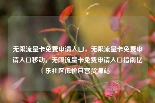 无限流量卡免费申请入口，无限流量卡免费申请入口移动，无限流量卡免费申请入口指南亿乐社区低价自营货源站  第1张