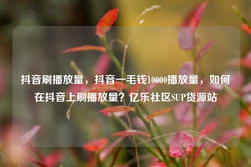 抖音刷播放量	，抖音一毛钱10000播放量，如何在抖音上刷播放量？亿乐社区SUP货源站  第1张