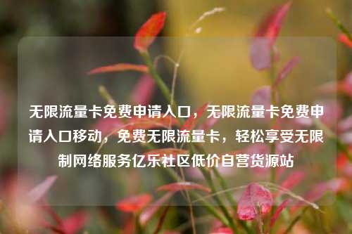 无限流量卡免费申请入口，无限流量卡免费申请入口移动，免费无限流量卡，轻松享受无限制网络服务亿乐社区低价自营货源站  第1张