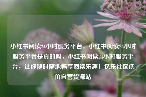 小红书阅读24小时服务平台，小红书阅读24小时服务平台是真的吗，小红书阅读24小时服务平台，让你随时随地畅享阅读乐趣！亿乐社区低价自营货源站  第1张