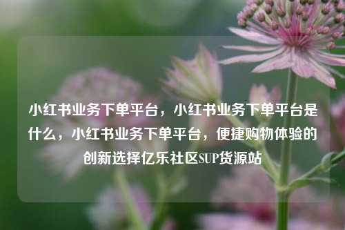 小红书业务下单平台，小红书业务下单平台是什么，小红书业务下单平台，便捷购物体验的创新选择亿乐社区SUP货源站  第1张