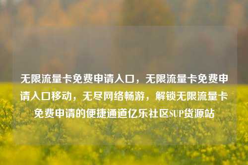 无限流量卡免费申请入口	，无限流量卡免费申请入口移动，无尽网络畅游，解锁无限流量卡免费申请的便捷通道亿乐社区SUP货源站  第1张