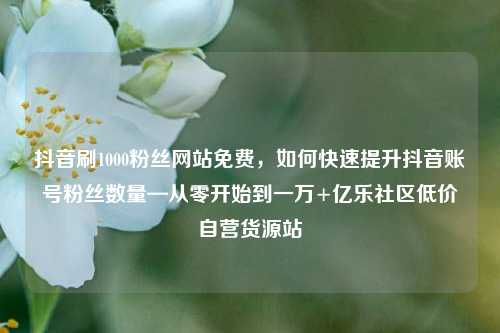 抖音刷1000粉丝网站免费	，如何快速提升抖音账号粉丝数量—从零开始到一万+亿乐社区低价自营货源站  第1张