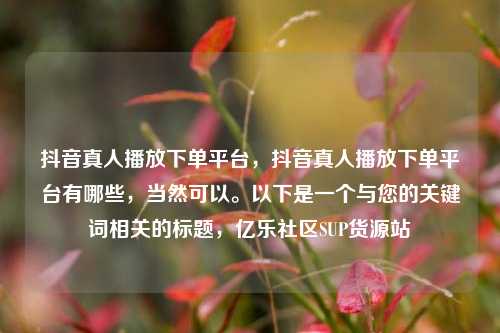 抖音真人播放下单平台	，抖音真人播放下单平台有哪些，当然可以。以下是一个与您的关键词相关的标题，亿乐社区SUP货源站  第1张