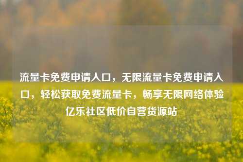 流量卡免费申请入口，无限流量卡免费申请入口	，轻松获取免费流量卡，畅享无限网络体验亿乐社区低价自营货源站  第1张