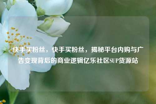 快手买粉丝，快手买粉丝，揭秘平台内购与广告变现背后的商业逻辑亿乐社区SUP货源站  第1张