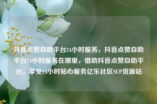 抖音点赞自助平台24小时服务，抖音点赞自助平台24小时服务在哪里，借助抖音点赞自助平台	，享受24小时贴心服务亿乐社区SUP货源站  第1张