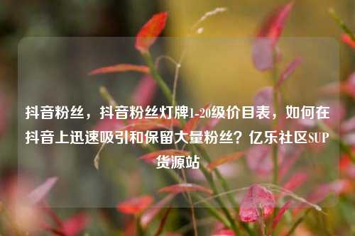 抖音粉丝，抖音粉丝灯牌1-20级价目表，如何在抖音上迅速吸引和保留大量粉丝？亿乐社区SUP货源站  第1张