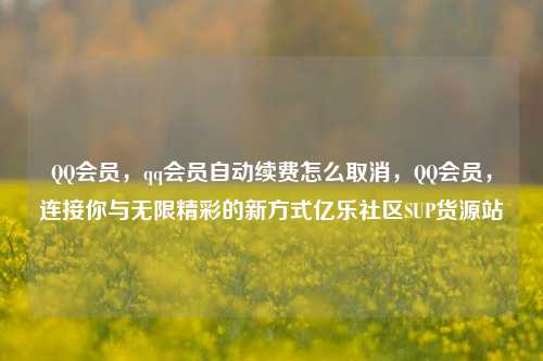 QQ会员	，qq会员自动续费怎么取消，QQ会员，连接你与无限精彩的新方式亿乐社区SUP货源站  第1张