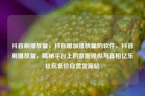 抖音刷播放量，抖音增加播放量的软件，抖音刷播放量	，揭秘平台上的数据操纵与真相亿乐社区低价自营货源站  第1张