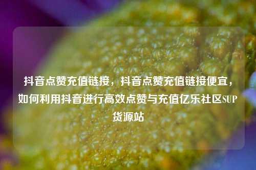 抖音点赞充值链接，抖音点赞充值链接便宜	，如何利用抖音进行高效点赞与充值亿乐社区SUP货源站  第1张