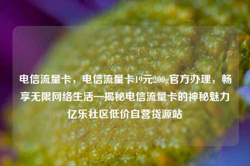 电信流量卡	，电信流量卡19元200g官方办理，畅享无限网络生活—揭秘电信流量卡的神秘魅力亿乐社区低价自营货源站  第1张