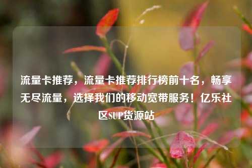 流量卡推荐	，流量卡推荐排行榜前十名，畅享无尽流量，选择我们的移动宽带服务！亿乐社区SUP货源站  第1张