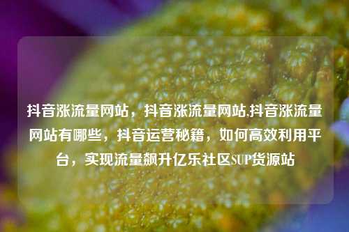 抖音涨流量网站	，抖音涨流量网站,抖音涨流量网站有哪些，抖音运营秘籍，如何高效利用平台	，实现流量飙升亿乐社区SUP货源站  第1张