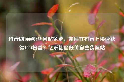 抖音刷1000粉丝网站免费，如何在抖音上快速获得1000粉丝？亿乐社区低价自营货源站  第1张
