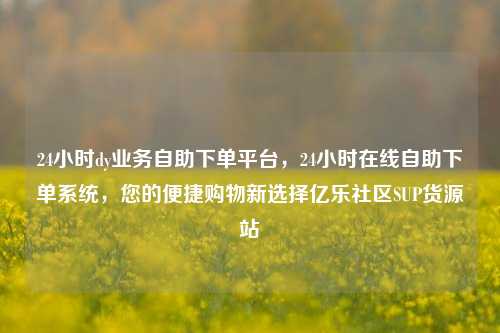 24小时dy业务自助下单平台，24小时在线自助下单系统，您的便捷购物新选择亿乐社区SUP货源站  第1张