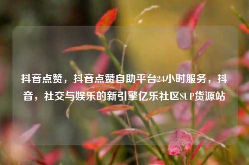 抖音点赞，抖音点赞自助平台24小时服务，抖音	，社交与娱乐的新引擎亿乐社区SUP货源站  第1张