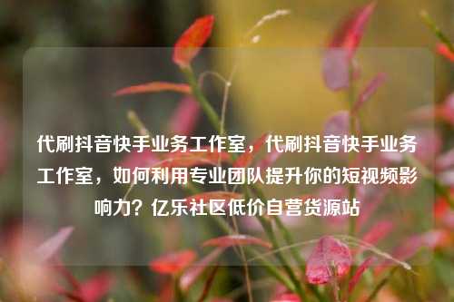 代刷抖音快手业务工作室，代刷抖音快手业务工作室，如何利用专业团队提升你的短视频影响力？亿乐社区低价自营货源站  第1张
